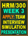 HRM/300 WK3 Candidate Interview Interactive Video